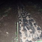 落花生　種蒔き　230709